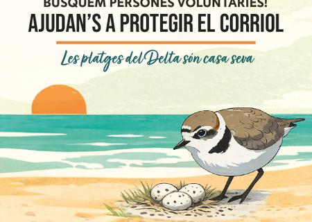 Campanya corriol camanegre CRAM