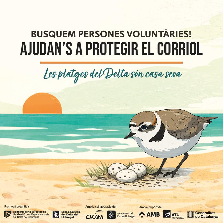 Campanya corriol camanegre CRAM